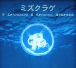 �L�����E���ł��炵�A���{�̉��݂ł����Ƃ��ǂ�����
���N���Q�ł��B
���O�̂Ƃ���A�̂̂X�T���ȏ�𐅕�����߂Ă��܂��B
�N���Q�ɂ͋����ׂ��Đ��͂�����A�P�Ɍ����J���悤��
�Ђǂ����𕉂��Ă��A�����̏ꍇ�A���R�ɂȂ����Ă���
���܂��B
�P�̒��a�R�O�����A�S���P�T�����قǂɂȂ�A�]�m���t��
�ł��Ă𒆐S�ɉ��̒��ڂɂ�������W�܂�܂��B